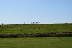 2019_09_21__12_03__Ostfriesland0146