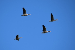 2019_09_21__12_18__Ostfriesland0155