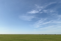 2019_09_22__17_38__Ostfriesland0002