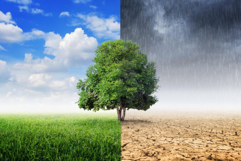 Klimawandel abwenden